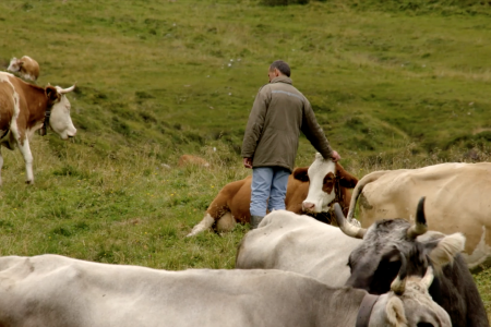 bildschirmfoto-2020-02-28-um-10.19.28 (1).png